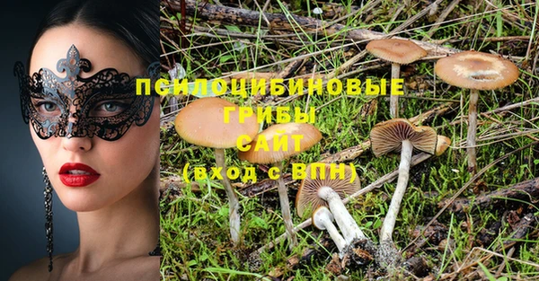 сатива Аркадак