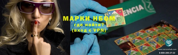 сатива Аркадак