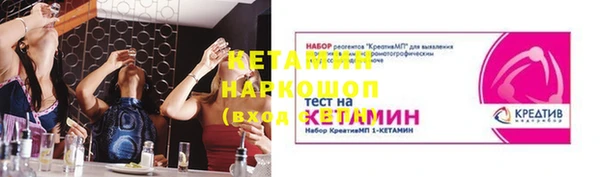 сатива Аркадак