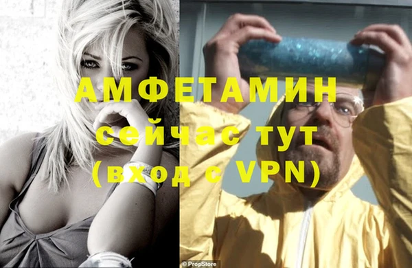 сатива Аркадак