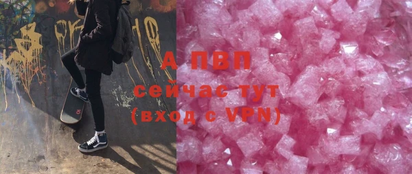 сатива Аркадак