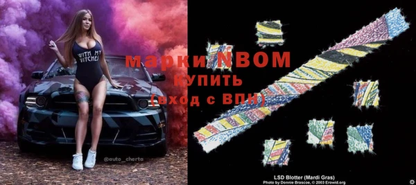 сатива Аркадак