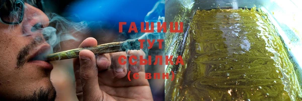 сатива Аркадак